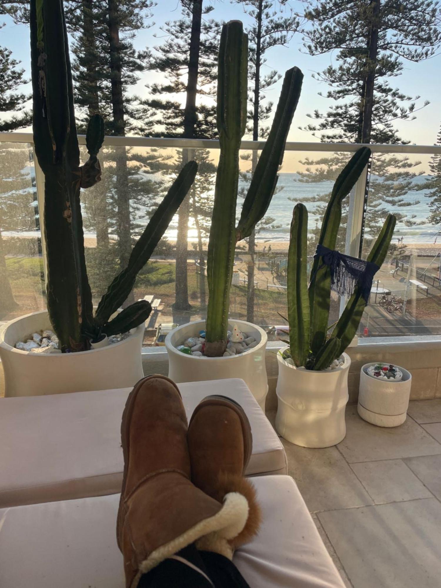 Manly Beachfront Stay 시드니 외부 사진